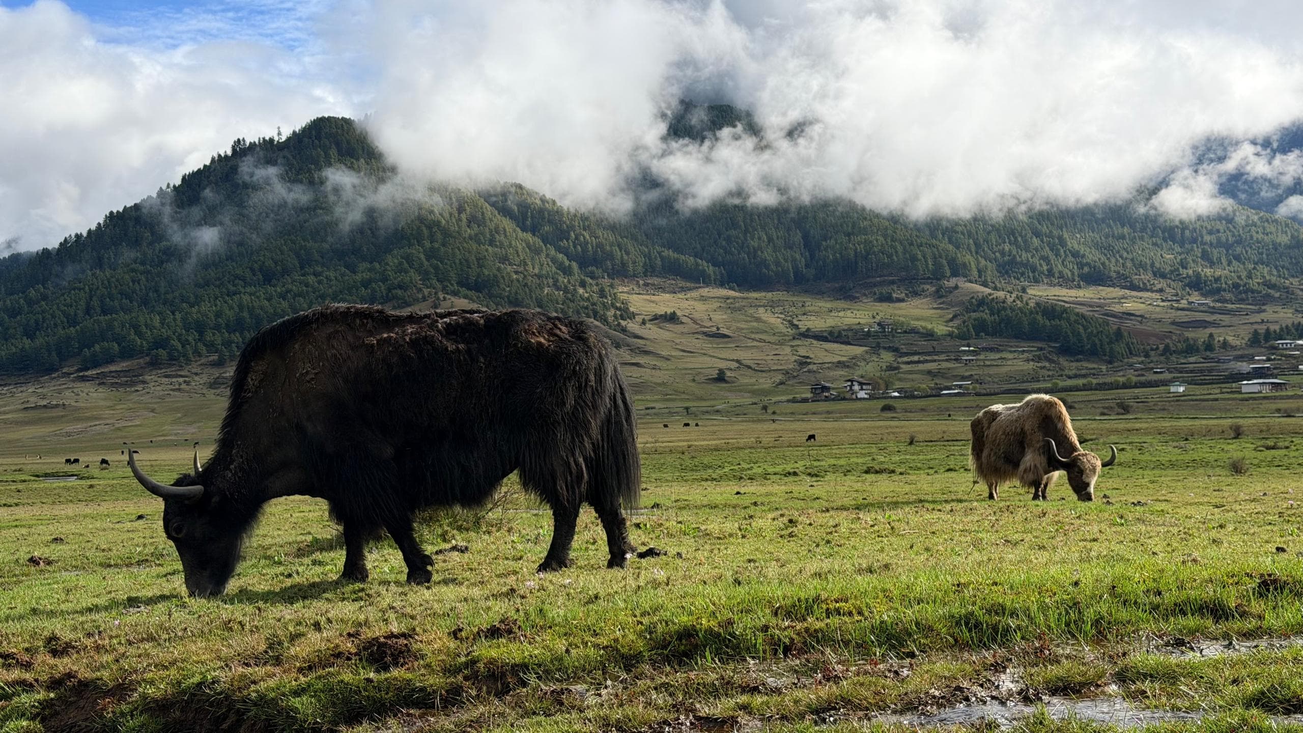 Begin Your Bhutan Story