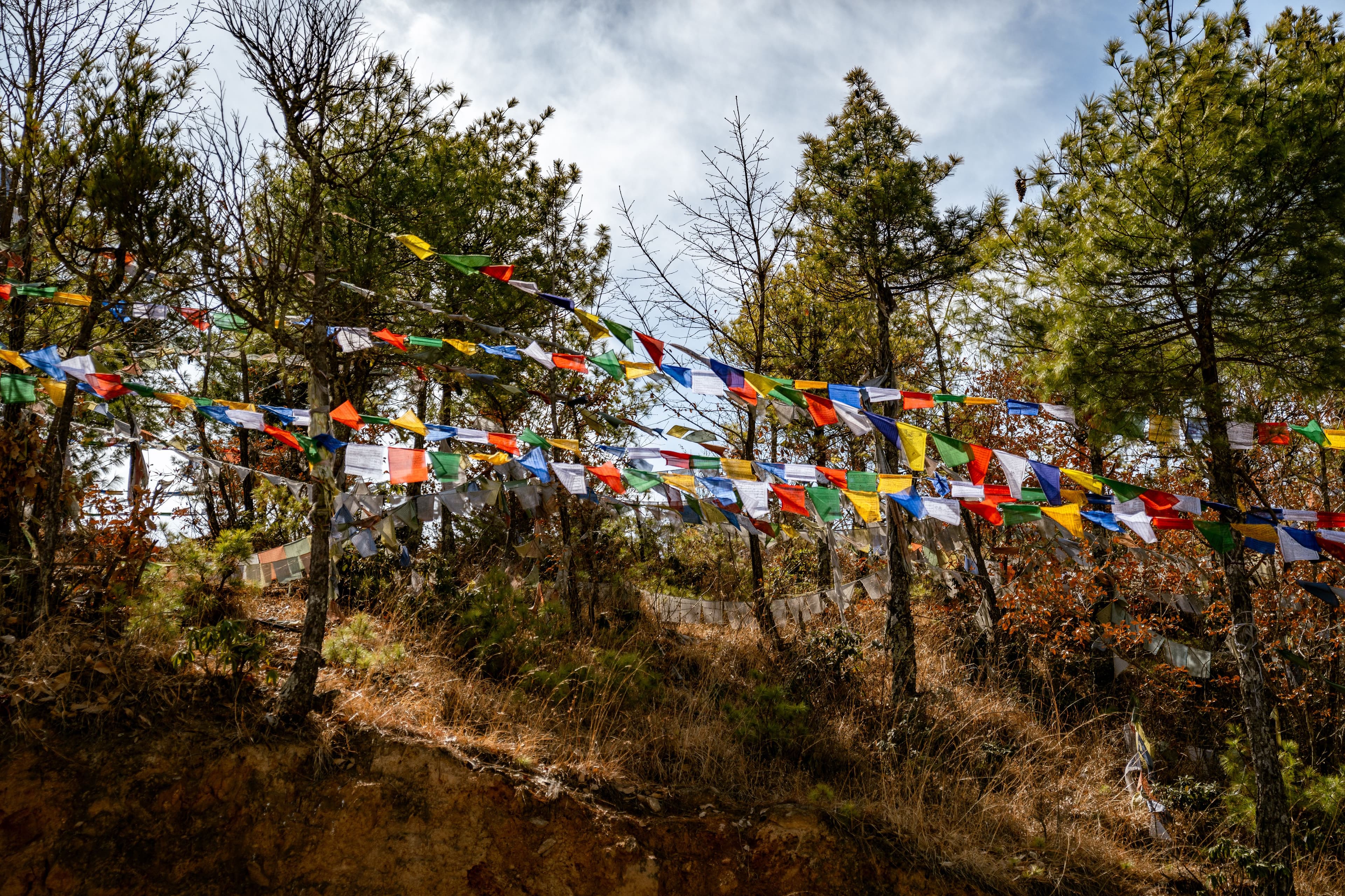 Journeys Through Bhutan, Curated With Care